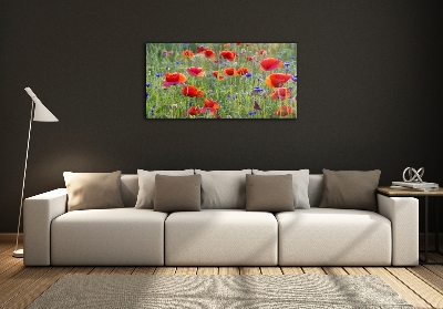 Foto glasbild Wildblumen