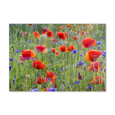 Foto glasbild Wildblumen