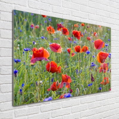 Foto glasbild Wildblumen