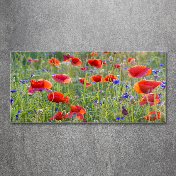 Foto glasbild Wildblumen