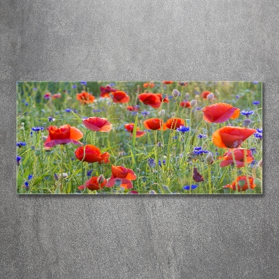 Foto glasbild Wildblumen
