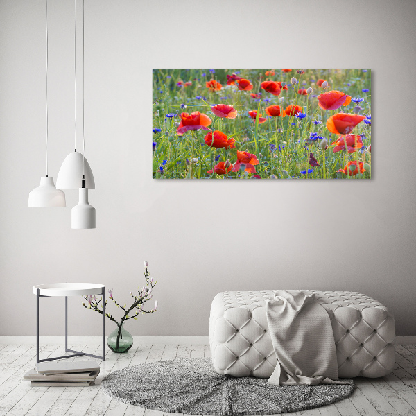 Foto glasbild Wildblumen