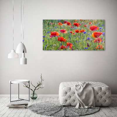 Foto glasbild Wildblumen