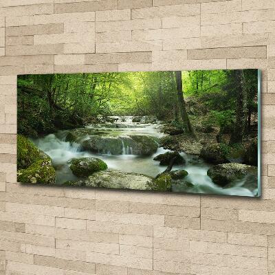 Foto glasbild Wasserfall im Wald