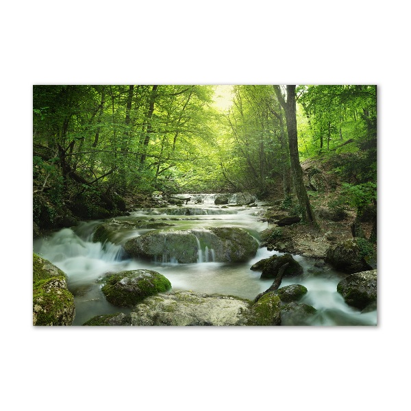 Foto glasbild Wasserfall im Wald