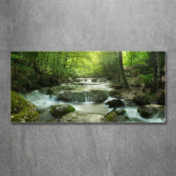 Foto glasbild Wasserfall im Wald