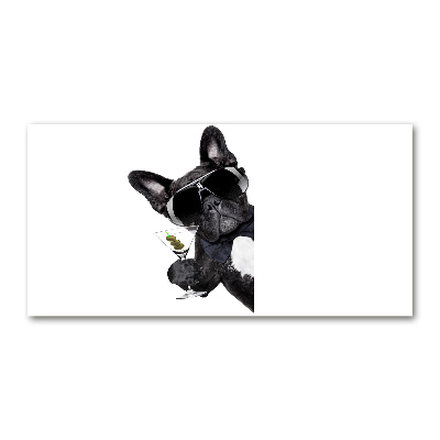 Bild auf glas Martini Dog