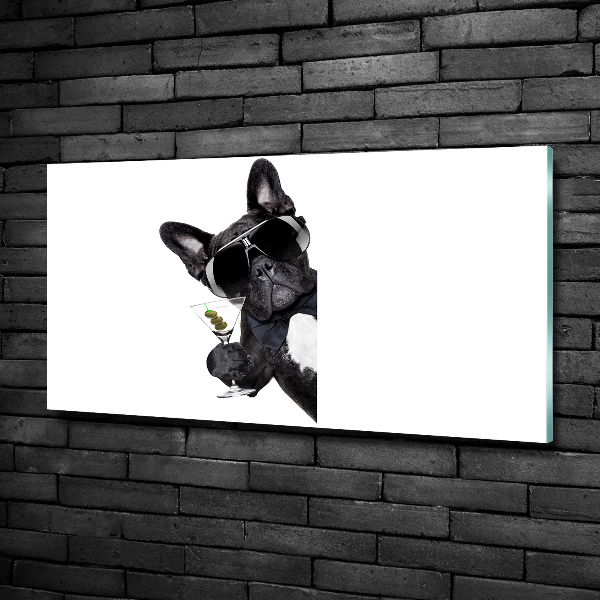 Bild auf glas Martini Dog