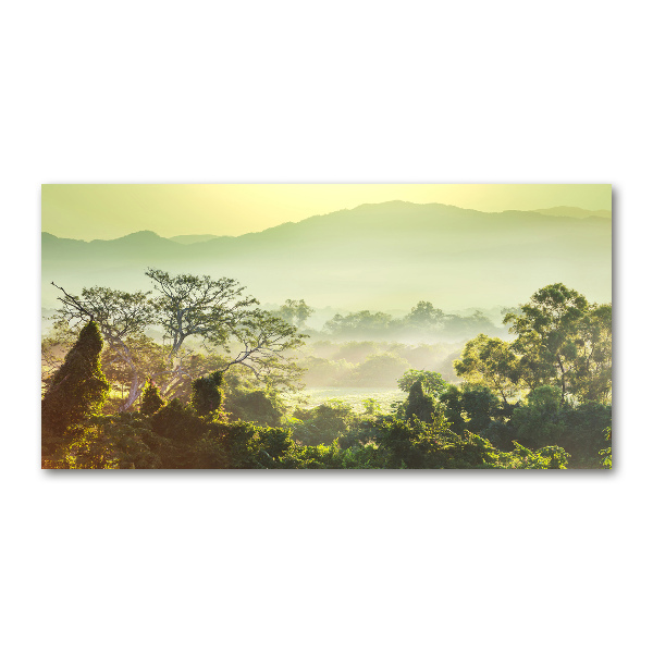 Foto glasbild Dschungel