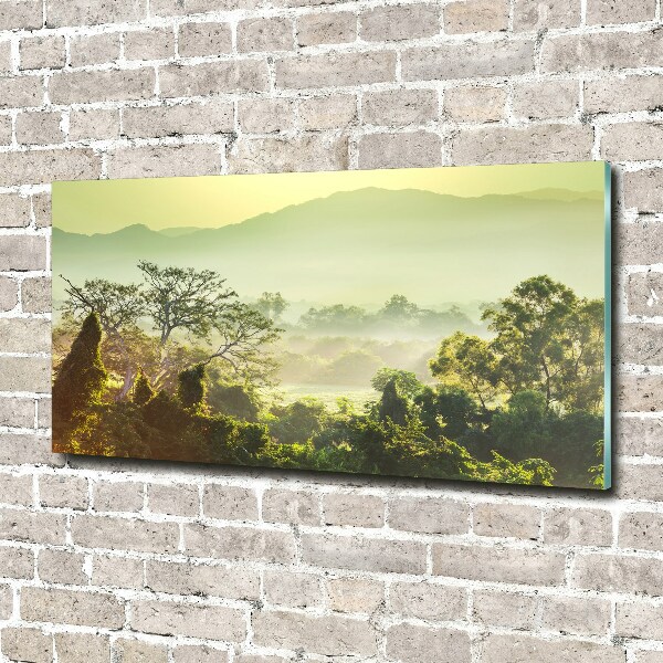 Foto glasbild Dschungel