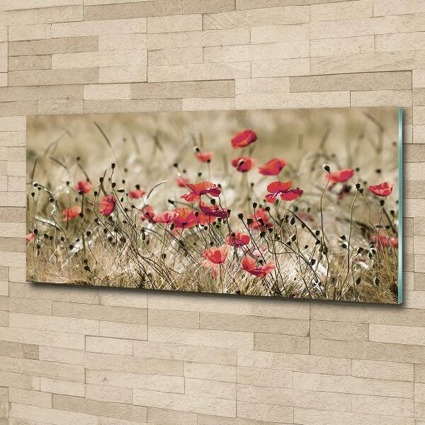 Foto glasbild Mohnblumen