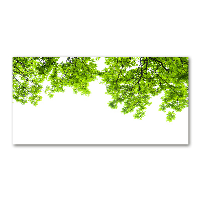 Glasbild Eichenblätter