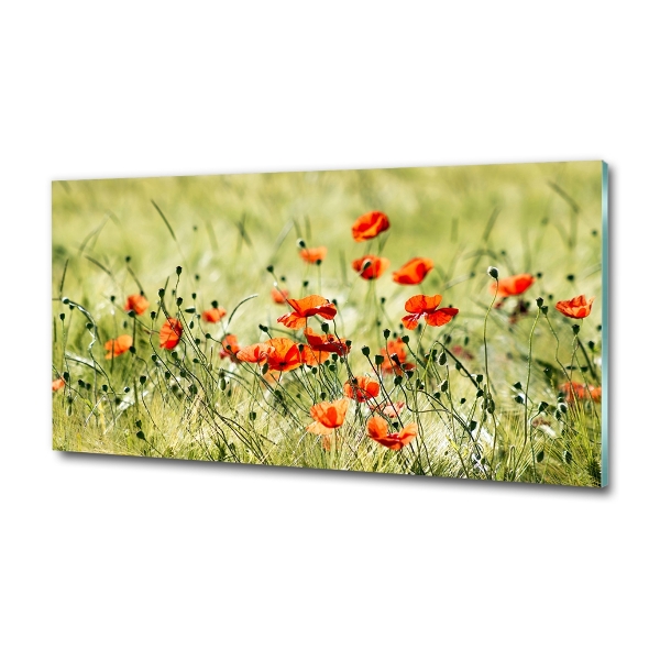 Foto glasbild Mohnblumen