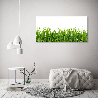Glasbild Gras