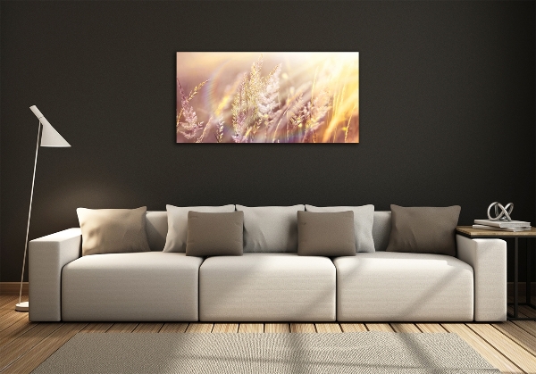 Glasbild Hohes Gras