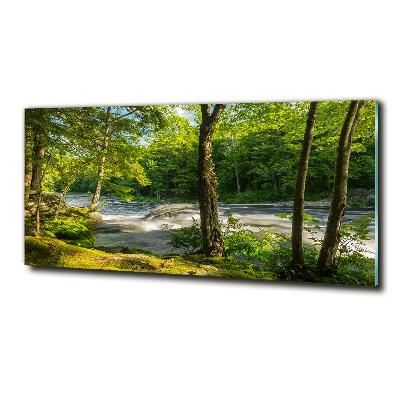 Foto glasbild Fluss im Wald