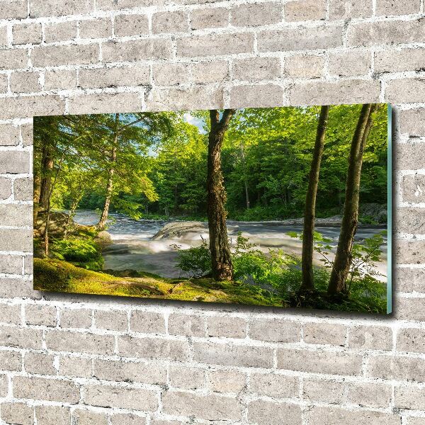 Foto glasbild Fluss im Wald