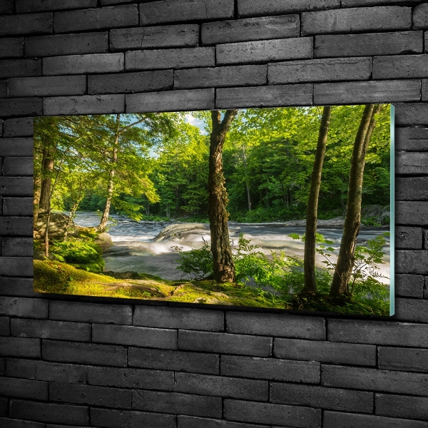 Foto glasbild Fluss im Wald