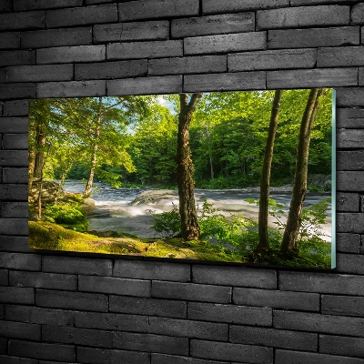 Foto glasbild Fluss im Wald