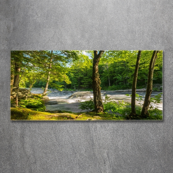 Foto glasbild Fluss im Wald