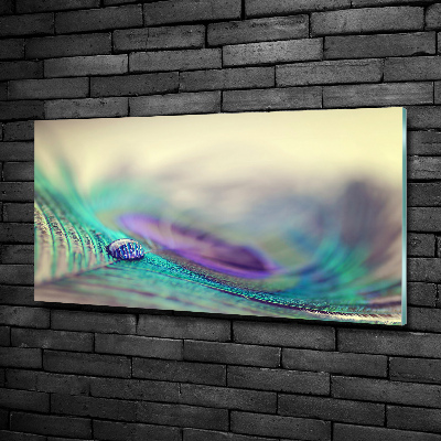 Bild auf glas Ein Tropfen auf einer Feder