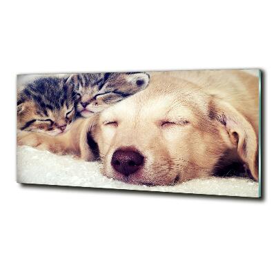 Bild auf glas Welpen und Katzen
