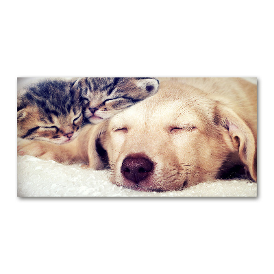 Bild auf glas Welpen und Katzen