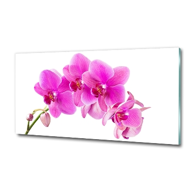 Glasbild Rosa Orchidee