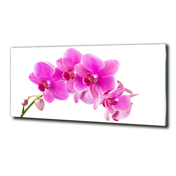 Glasbild Rosa Orchidee