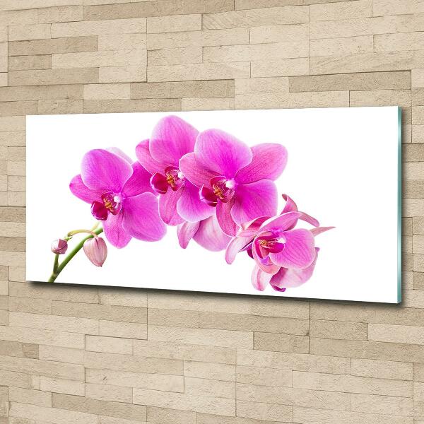 Glasbild Rosa Orchidee