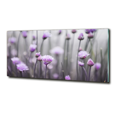 Glasbild Schnittlauchblüten