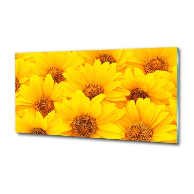 Foto glasbild Sonnenblumen
