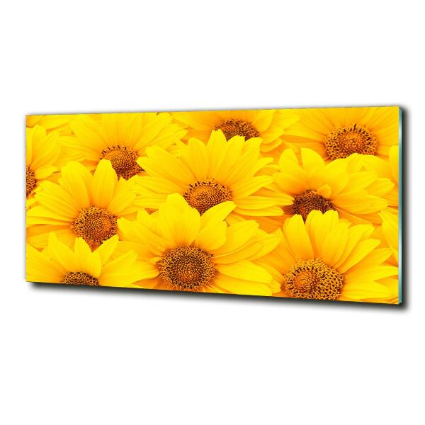 Foto glasbild Sonnenblumen