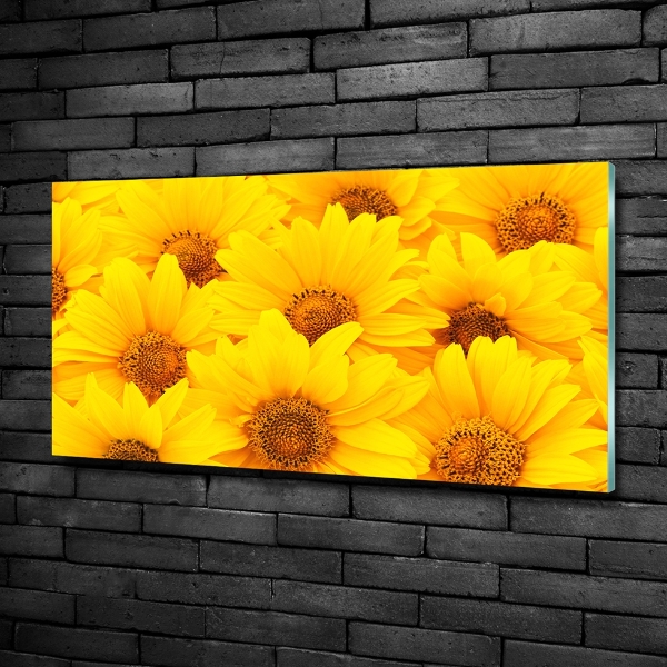 Foto glasbild Sonnenblumen