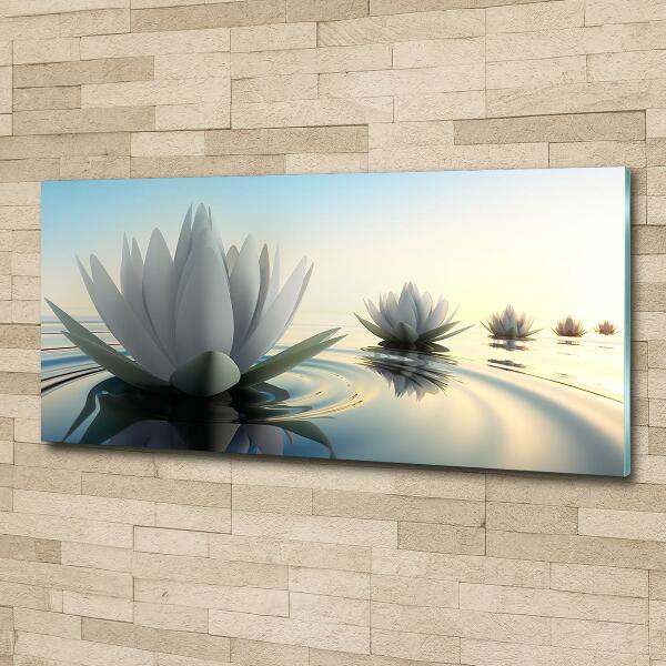 Foto glasbild Lotosblume