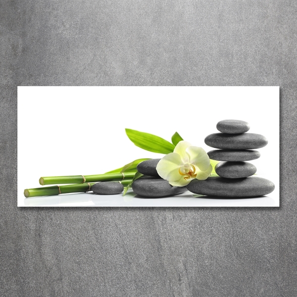 Foto glasbild Orchidee