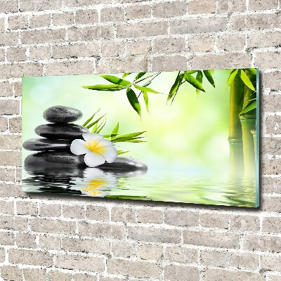 Glasbild Plumeria und Bambus