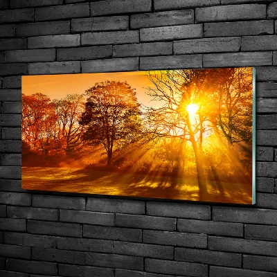 Bild auf glas Sonnenuntergang