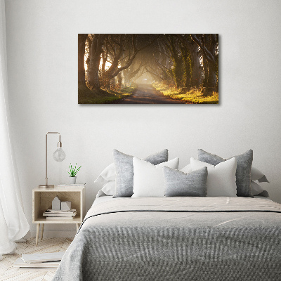 Glasbild Nebel im Wald