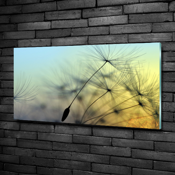 Foto glasbild Löwenzahnsamen