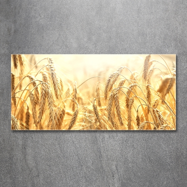 Bild auf glas Getreide