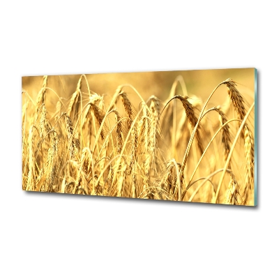 Glasbild Getreide