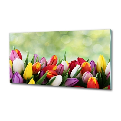 Bild auf glas Bunte Tulpen