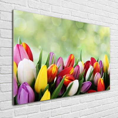 Bild auf glas Bunte Tulpen