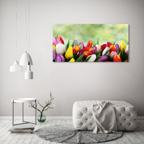 Bild auf glas Bunte Tulpen