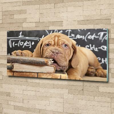 Bild auf glas Der Hund beißt das Buch an