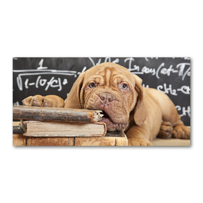 Bild auf glas Der Hund beißt das Buch an