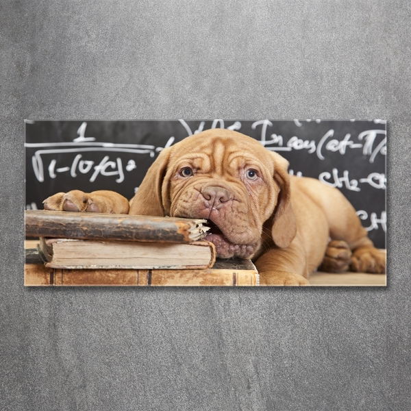 Bild auf glas Der Hund beißt das Buch an