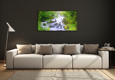 Bild auf glas Gebirgsfluss