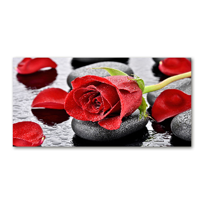 Glasbild Rote Rose